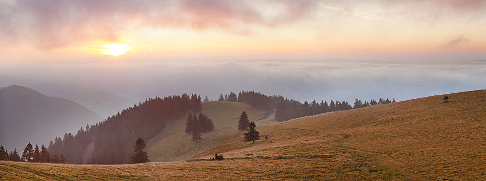 Early morning fog and sunrise, Belchen Mountain, Black Forest, Baden Wurttemberg, Germany, Europe