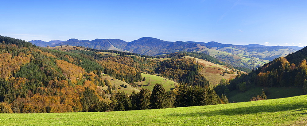 Wiesental Valley, Black Forest, Baden Wurttemberg, Germany, Europe