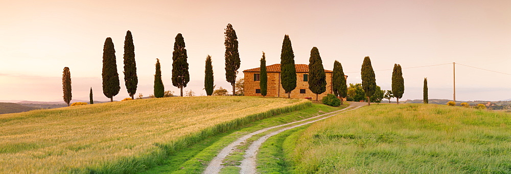 Farm house with cypress trees at sunset, near Pienza, Val d'Orcia (Orcia Valley), UNESCO World Heritage Site, Siena Province, Tuscany, Italy, Europe