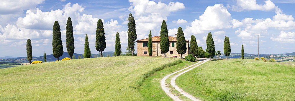 Farm house with cypress trees near Pienza, Val d'Orcia (Orcia Valley), UNESCO World Heritage Site, Siena Province, Tuscany, Italy, Europe