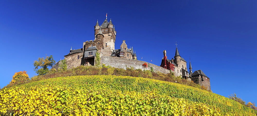 Reichsburg Castle and vineyards in autumn, Cochem, Moselle Valley, Rhineland-Palatinate, Germany, Europe