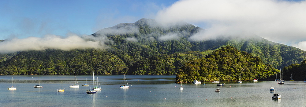 Sailing boats at Ngakuta Bay, Marlborough Sounds, Picton, South Island, New Zealand, Pacific