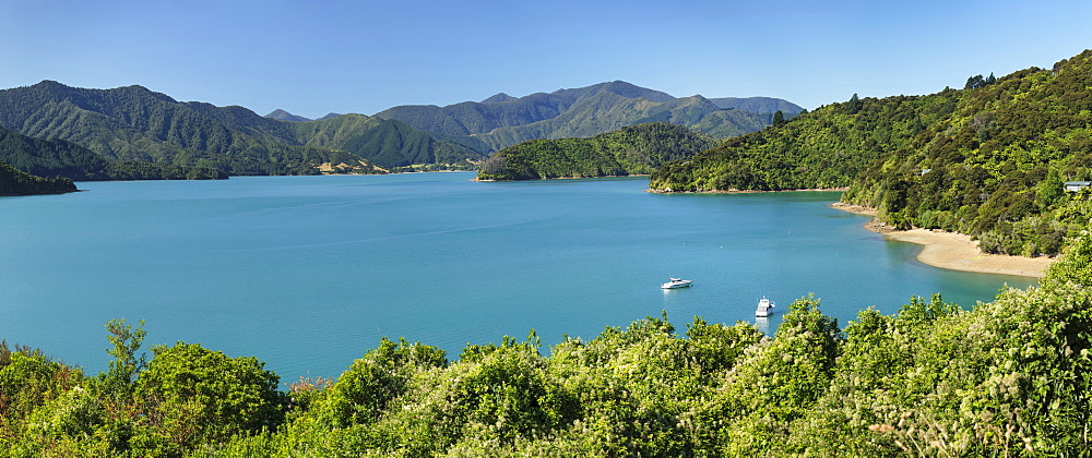 Coastal landscape at Kenepuru Sound, Queen Charlotte Track, Marlborough Sounds, Picton, South Island, New Zealand, Pacific