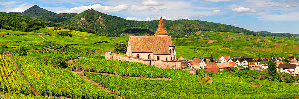 Fortified church of Saint Jacques, Hunawihr, Alsace, Alsatian Wine Route, Haut-Rhin, France, Europe