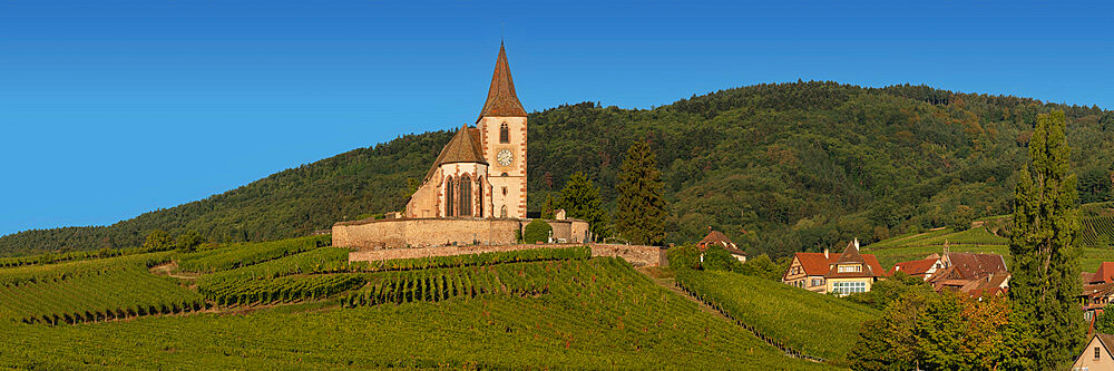 Fortified church of Saint Jacques, Hunawihr, Alsace, Alsatian Wine Route, Haut-Rhin, France, Europe