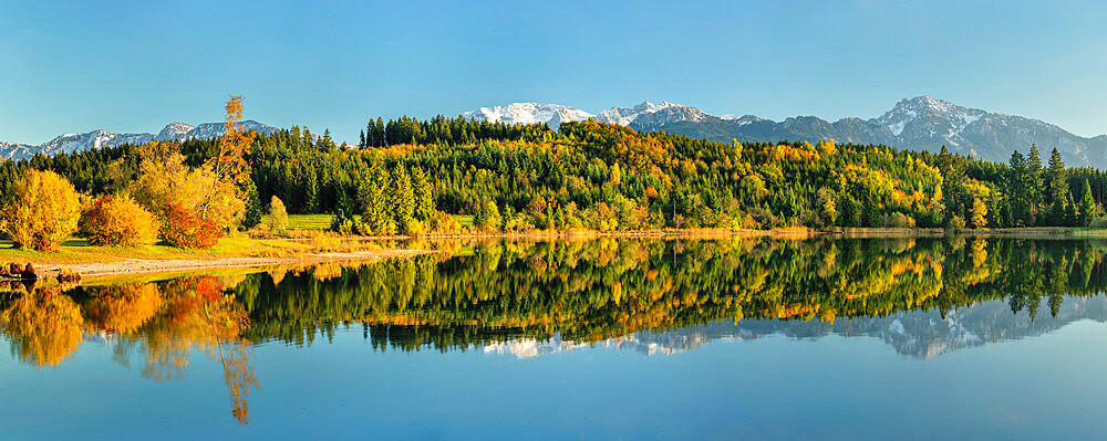 Allgau Alps reflecting in Forggensee Lake, Allgau, Bavaria, Germany, Europe