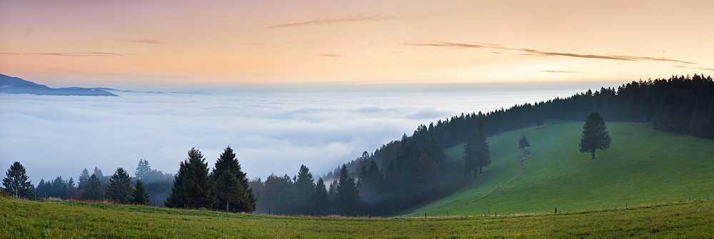 Sea of fog, view from Schauinsland Mountain, Black Forest, Baden Wurttemberg, Germany, Europe