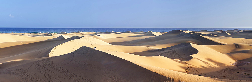 Panorama of the sand dunes of Maspalomas, Maspalomas, Gran Canaria, Canary Islands, Spain, Atlantic, Europe