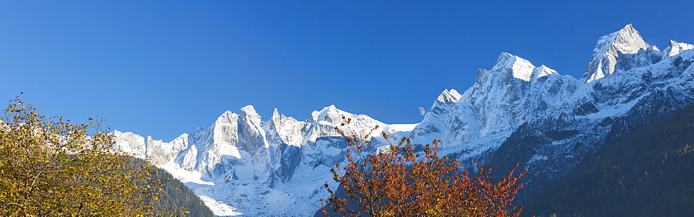 Panorama of the snowy peaks framed by colorful trees, Soglio, Bregaglia Valley, Canton of Graubunden, Switzerland, Europe