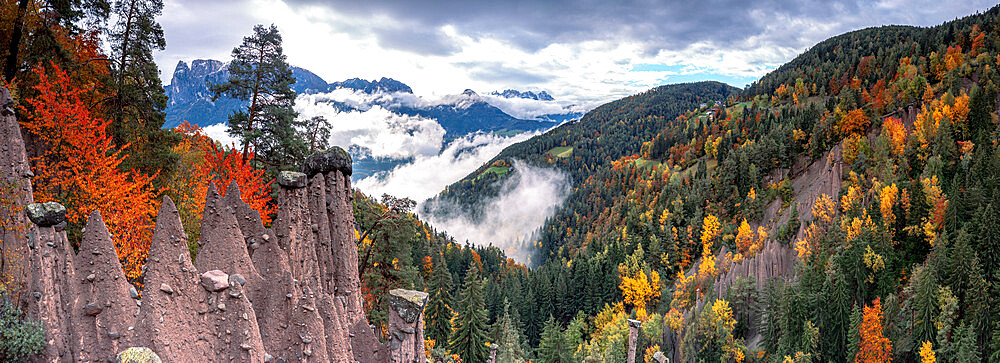 Mist over the earth pyramids and forest in autumn, Longomoso, Renon (Ritten), Bolzano, South Tyrol, Italy, Europe