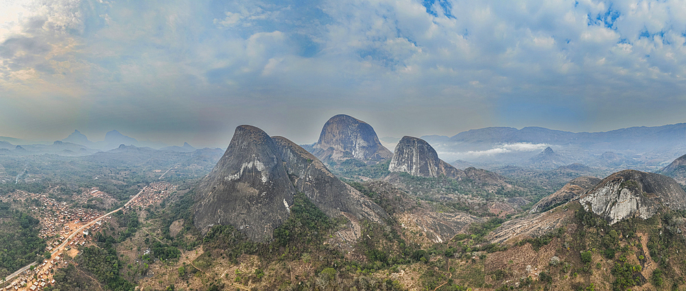 Conda, Kumbira Forest Reserve, Kwanza Sul, Angola, Africa