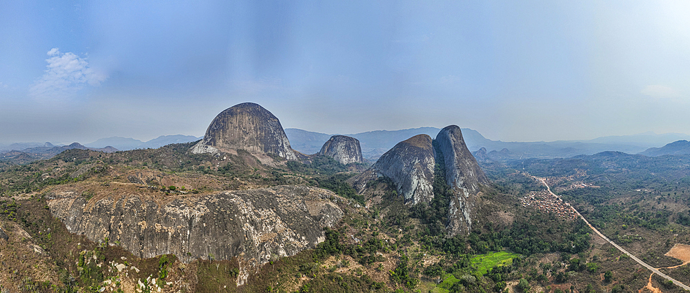 Conda, Kumbira Forest Reserve, Kwanza Sul, Angola, Africa