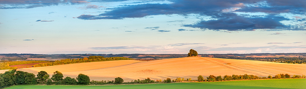 Wittenham Clumps, Thames Valley, Oxfordshire, England, United Kingdom, Europe