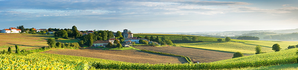 Berneuil, Charente, France, Europe