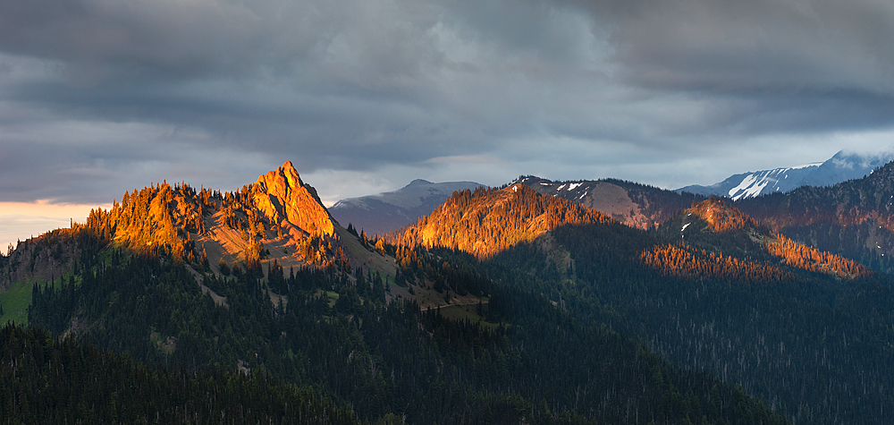 Evening light on mountain peaks, view from Hurricane Ridge, Olympic National Park, UNESCO World Heritage Site, Washington State, United States of America, North America