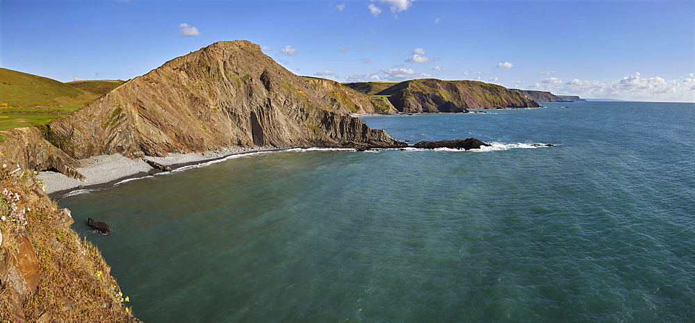 Rugged cliffs along southwest England's Atlantic coast, seen in calm summer weather, near Hartland Quay, in Devon, England, United Kingdom, Europe