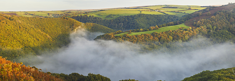 Evening mist in the valley of the East Lyn River, near Lynmouth, Exmoor National Park, Devon, England, United Kingdom, Europe