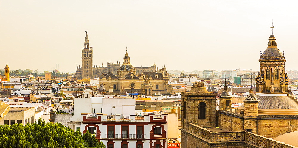 The view of the city and Seville Cathedral from the top of Metropol Parasol, Seville, Andalucia, Spain, Europe