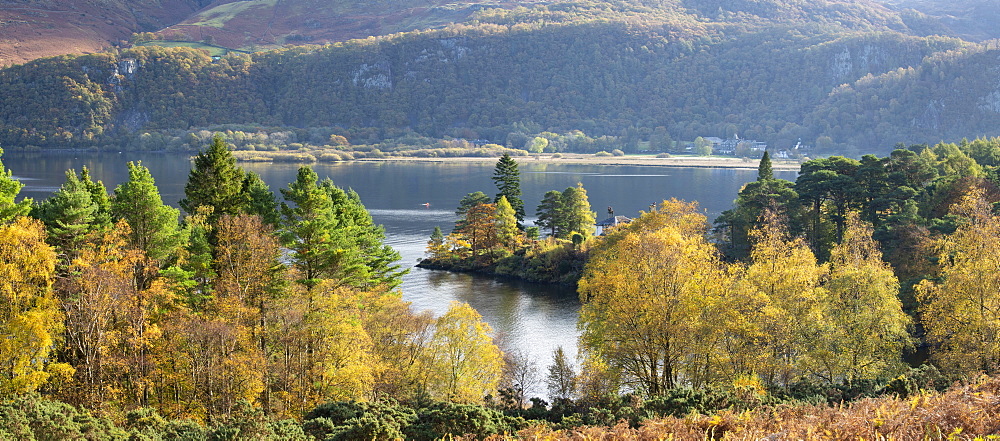 Autumn colours and sunshine over Brandlehow and Manesty wood, Derwent Water, Lake District National Park, UNESCO World Heritage Site, Cumbria, England, United Kingdom, Europe