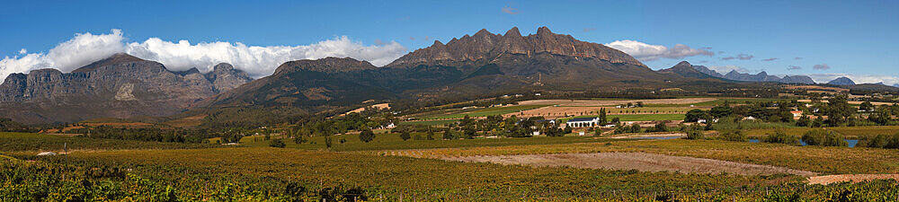 Panoramic view of vineyards and mountains near Wellington, Western Cape Winelands, a 45-minute drive from Cape Town, Western Cape, South Africa, Africa