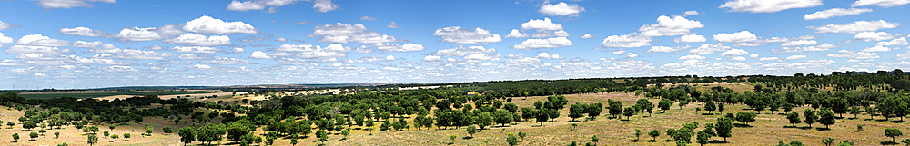 A panoramic view of the serene landscape of rolling hills dotted with oak trees, expansive fields, under a cloudy blue sky, Alentejo, Portugal, Europe