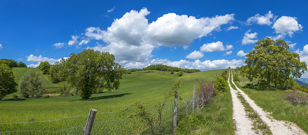 Countryside in spring, Gubbio, Umbria, Italy, Europe