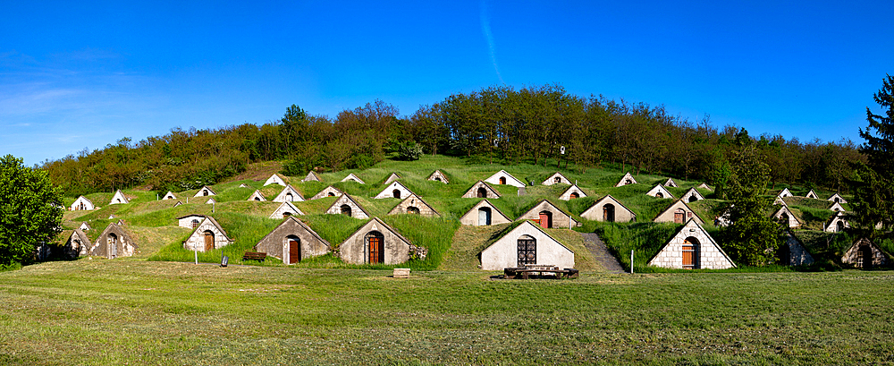 wine cellars in Tokaj region - Hercegkut Sarospatak Hungary