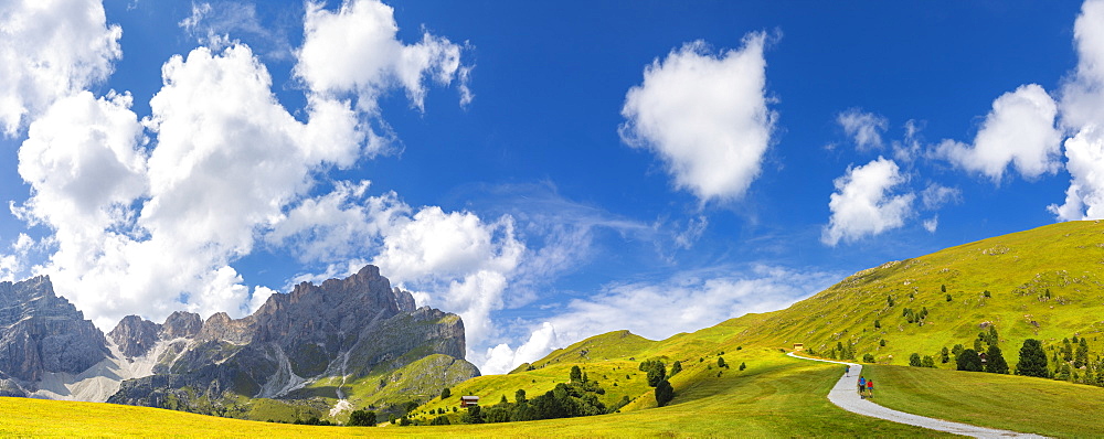 Panoramic view of pasture near Forcella de Furcia, Longiaru, Badia Valley, South Tyrol, Dolomites, Italy, Europe