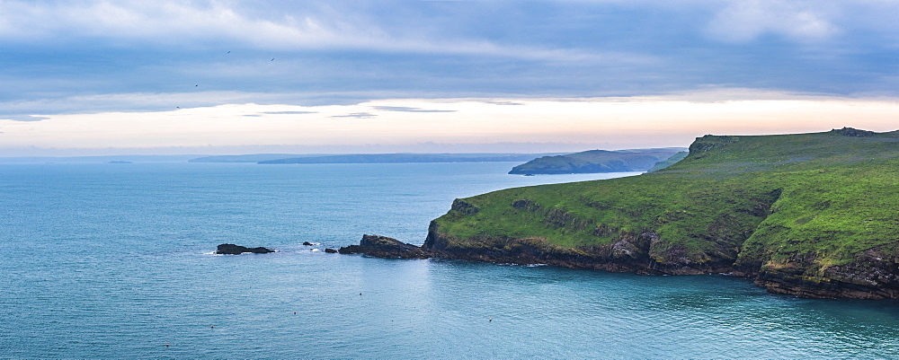 North Haven landscape at sunrise, Skomer Island, Pembrokeshire Coast National Park, Wales, United Kingdom, Europe