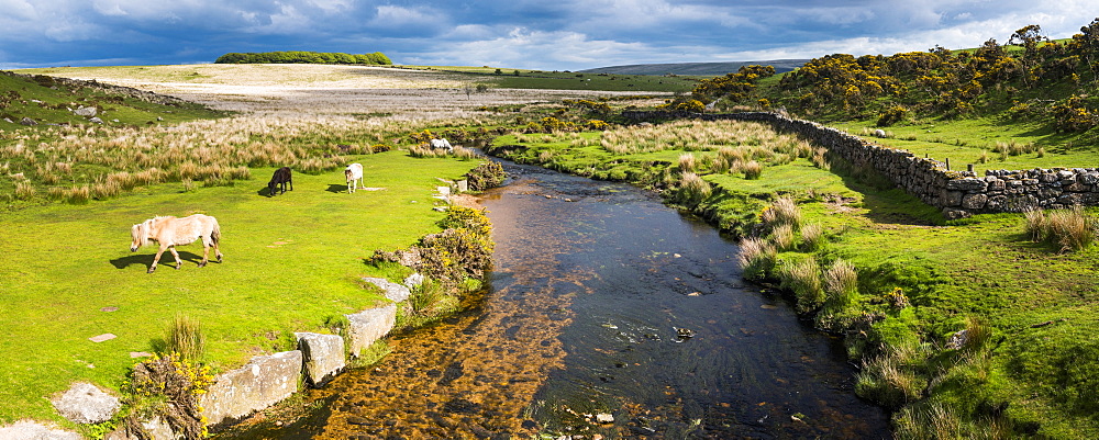 Dartmoor landscape, Devon, England, United Kingdom, Europe