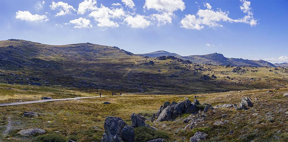 Hiking trail towards Mount Kosciuszko, the highest peak of Australia, New South Wales, Australia, Pacific