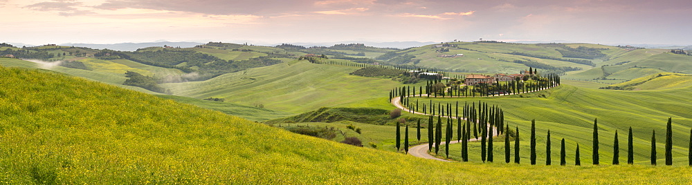 Panoramic view of sunset over the Agriturismo Baccoleno and winding path with cypress trees, Asciano in Tuscany, Italy, Europe