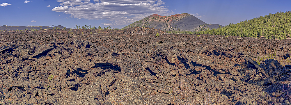 Panorama of the western Bonito Lava Field at Sunset Crater Volcano, Arizona, United States of America, North America