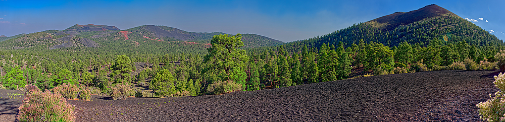 Super Pan view of the Cinder Hills on left and the eastside of Sunset Crater on the right, near Flagstaff, Arizona, United States of America, North America