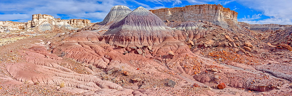 The pedestal of Eagle Nest Rock in Jasper Forest Petrified Forest National Park, the rock fell down in 1941 due to heavy rain, Arizona, United States of America, North America