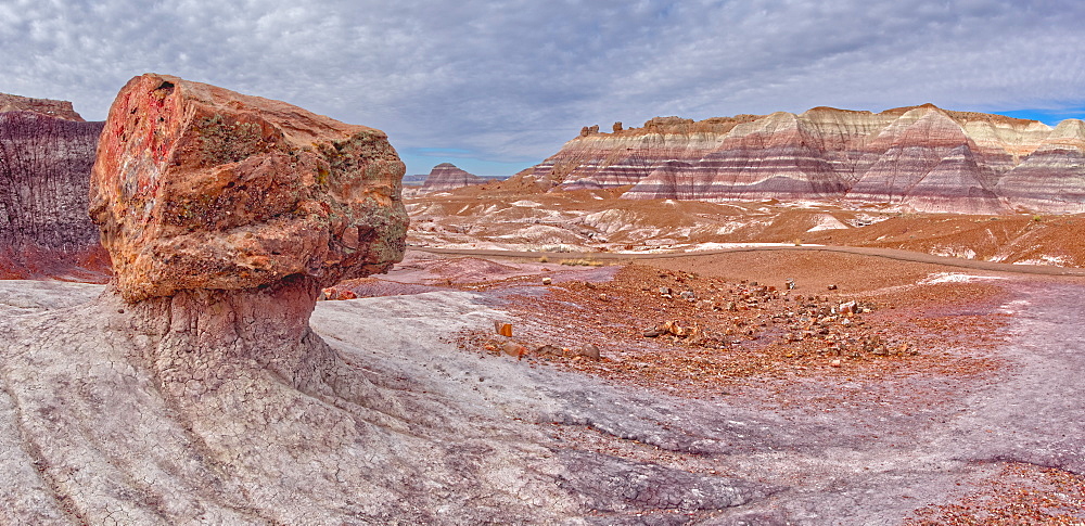 A large petrified log along the Blue Mesa Trail in Petrified Forest National Park, Arizona, United States of America, North America