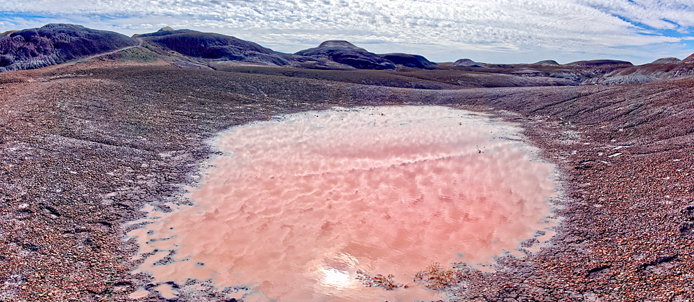 A red pool of salty water along the Blue Forest Trail in Petrified Forest National Park, Arizona, United States of America, North America