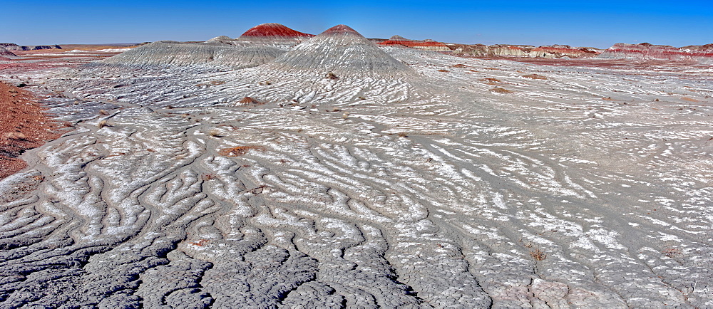 Salt covered hills of Bentonite in the Petrified Forest National Park along the Blue Forest Trail, Arizona, United States of America, North America