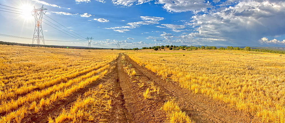 Narrow road, Fire Road 182, and grassy prairie in Prescott National Forest near Drake, Arizona, United States of America, North America