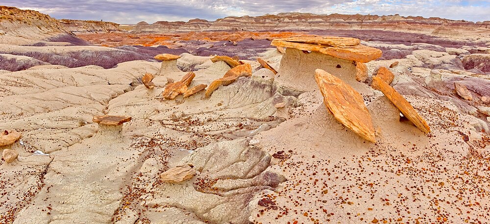 Sand Castle formations on the edge of the Red Basin in Petrified Forest National Park, Arizona, United States of America, North America