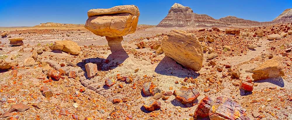 Balanced rock that resembles a toadstool, petrified wood scattered around the formation, Petrified Forest National Park, Arizona, United States of America, North America