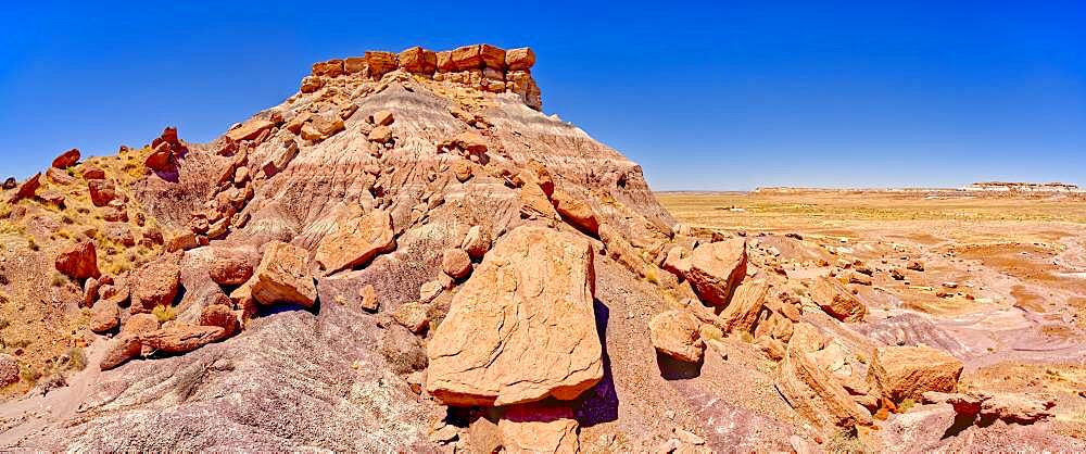 The northeast side of Keyhole Mesa in the First Forest of Petrified Forest National Park, Arizona, United States of America, North America