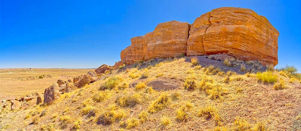 A rock formation called Agate Mesa, Petrified Forest National Park, Arizona, United States of America, North America