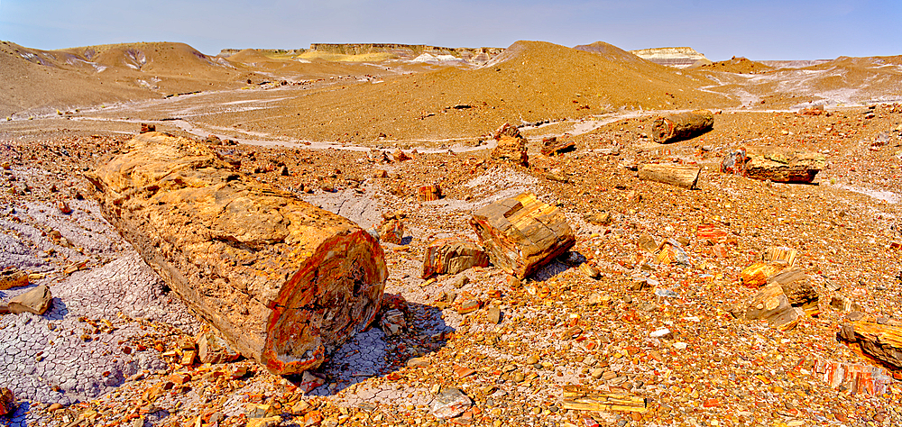 Giant petrified logs on the Purple Peninsula in Petrified Forest National Park, Arizona, United States of America, North America