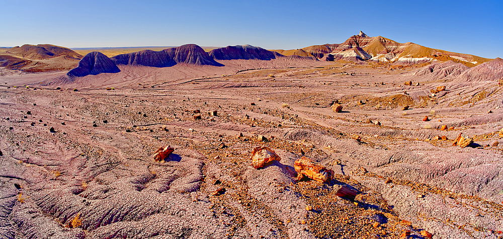 A long formation of purple Bentonite clay called the Purple Peninsula, in Petrified Forest National Park, Arizona, United States of America, North America