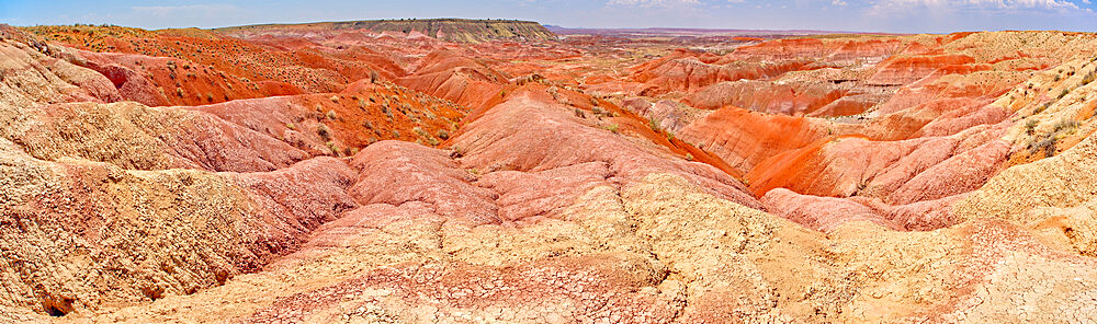 Blood red ridges of Bentonite clay on the east side of Tiponi Point in Petrified Forest National Park, Arizona, United States of America, North America