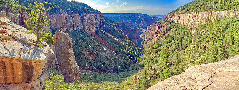 Bright Angel Canyon viewed from Coconino Overlook along North Kaibab Trail on Grand Canyon North Rim, Arizona, United States of America, North America