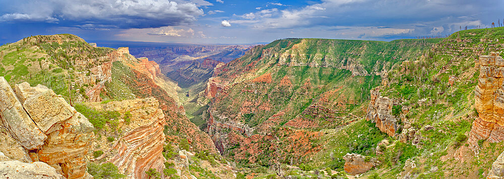 View from the Saddle Mountain Overlook on the northeast edge of Grand Canyon North Rim and the Kaibab National Forest, Arizona, United States of America, North America