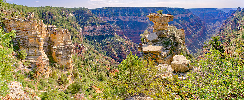 Tabletop Rock on the cliffs of the Transept Canyon at Grand Canyon North Rim along the Widforss Trail, UNESCO World Heritage Site, Arizona, United States of America, North America