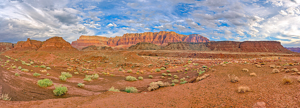 Vermilion Cliffs National Monument where it overlaps Glen Canyon Recreation Area, Arizona, United States of America, North America